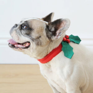 Festive Holly Dog Collar