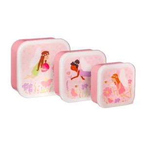 Fairy Lunch Boxes on white