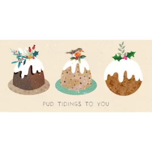 Christmas Pudding Money Wallet